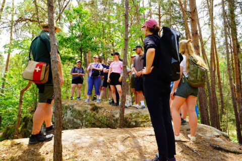 Zum Artikel "Excursion ‚Rewilding Tennenlohe‘"