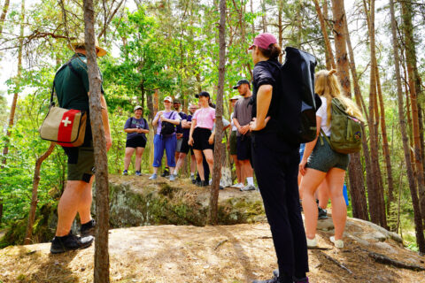 Zum Artikel "Excursion ‚Rewilding Tennenlohe‘"